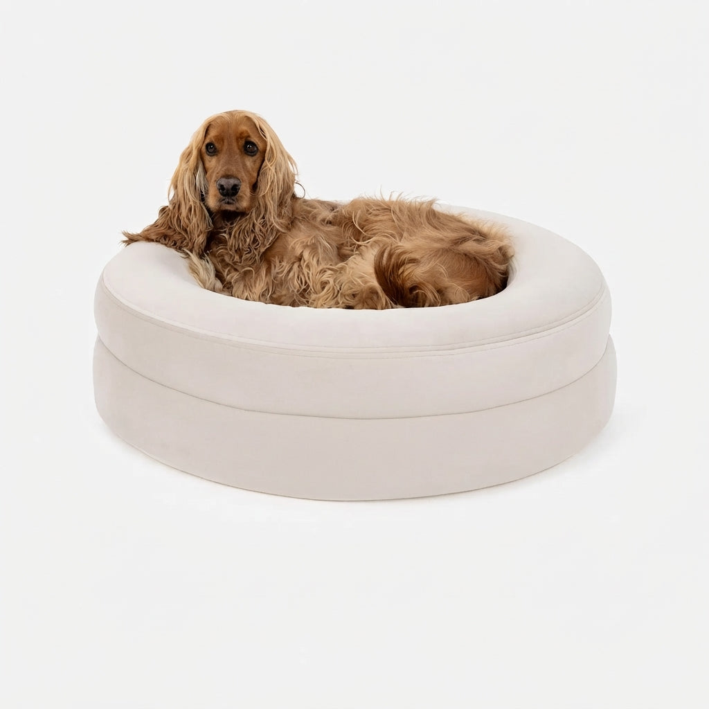 The Ciara Dog Bed