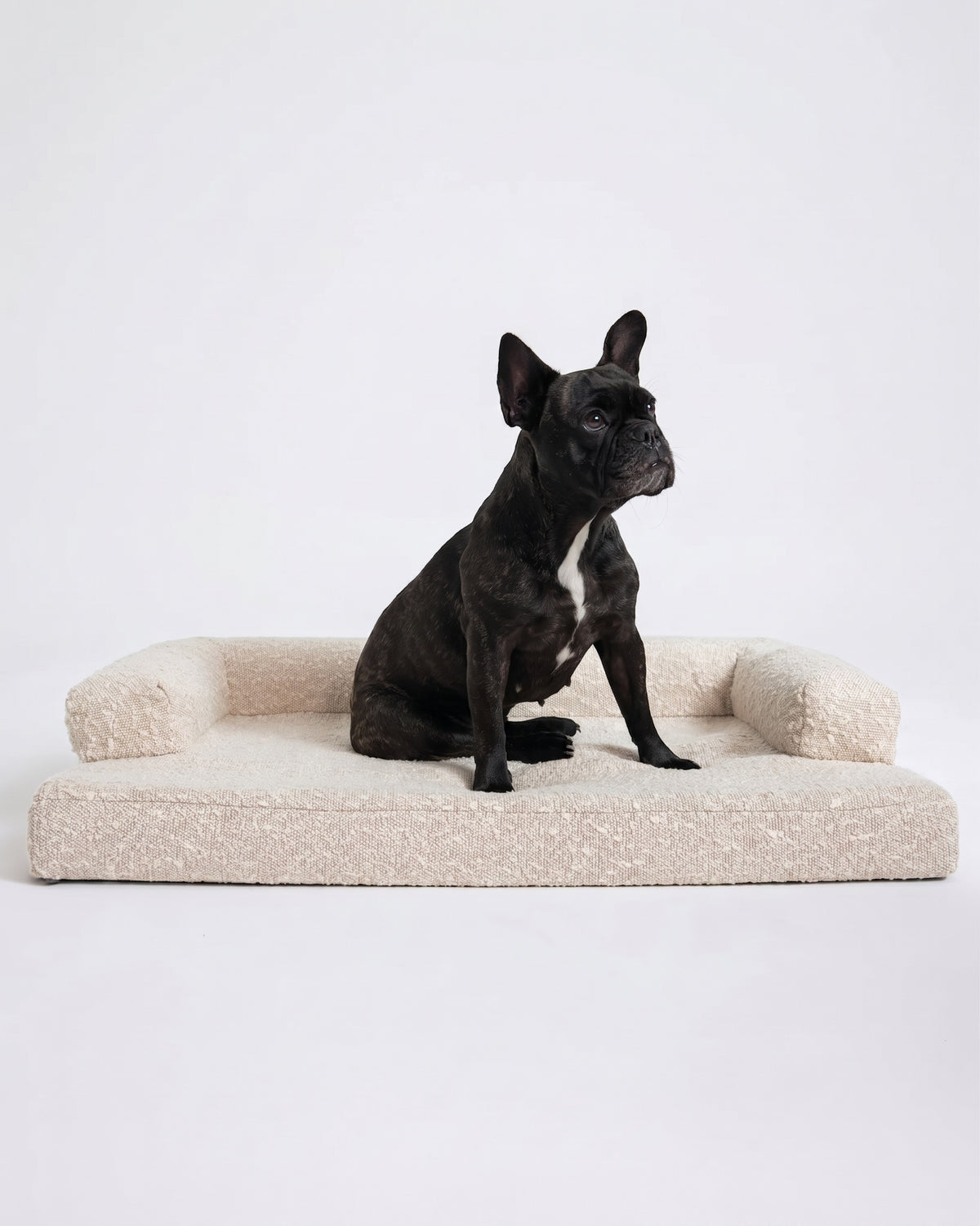 Louisiana Dog Bed
