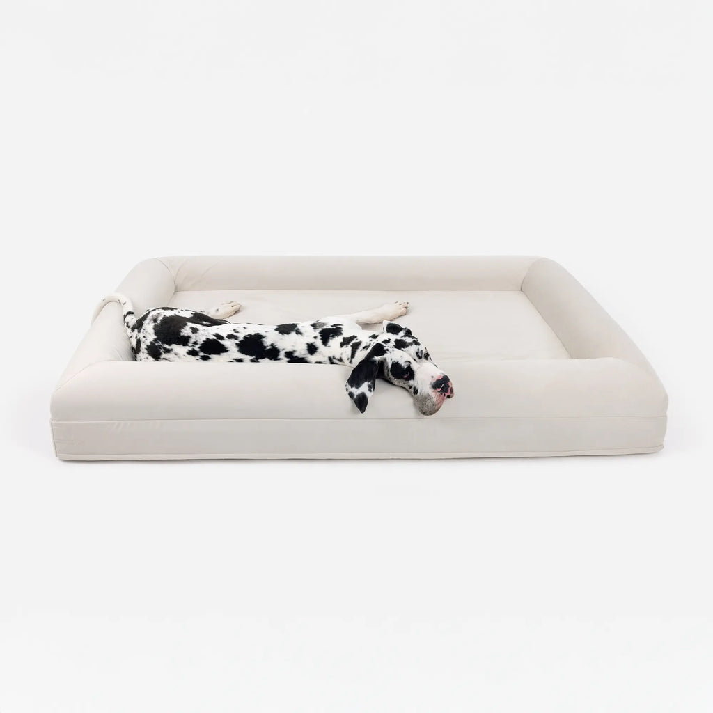 The Melody Xtralarge Dog Bed
