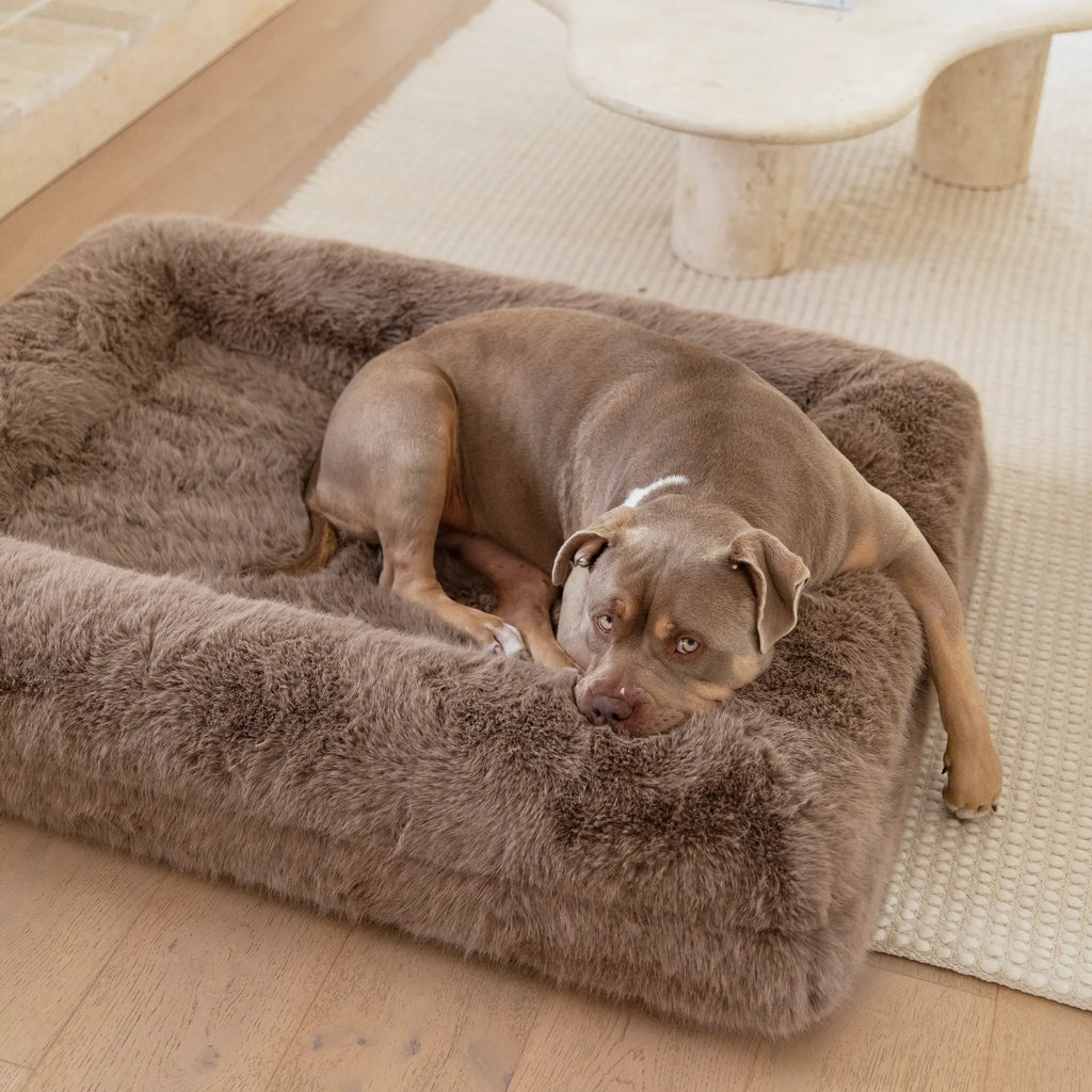 The Fur Dog Bed