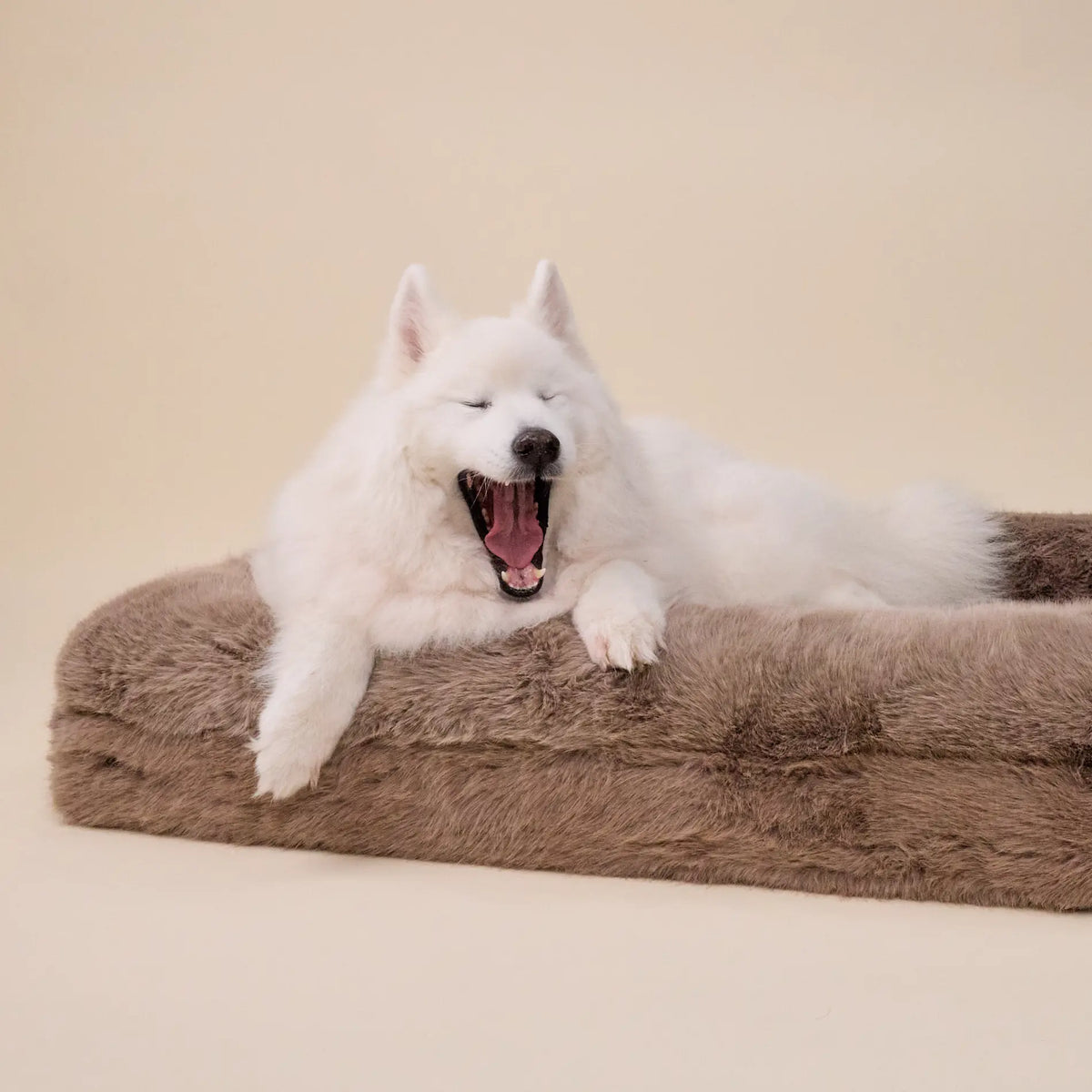 The Fur Dog Bed