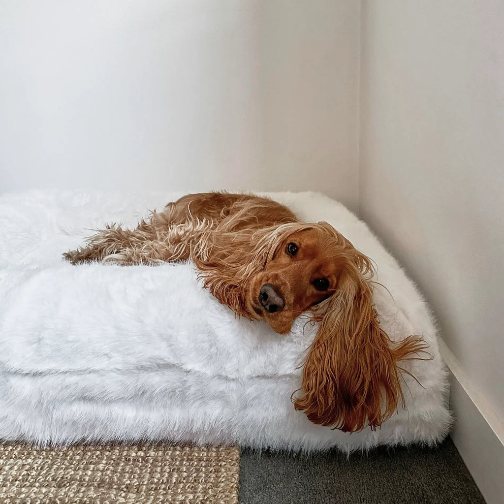 The Fur Dog Bed