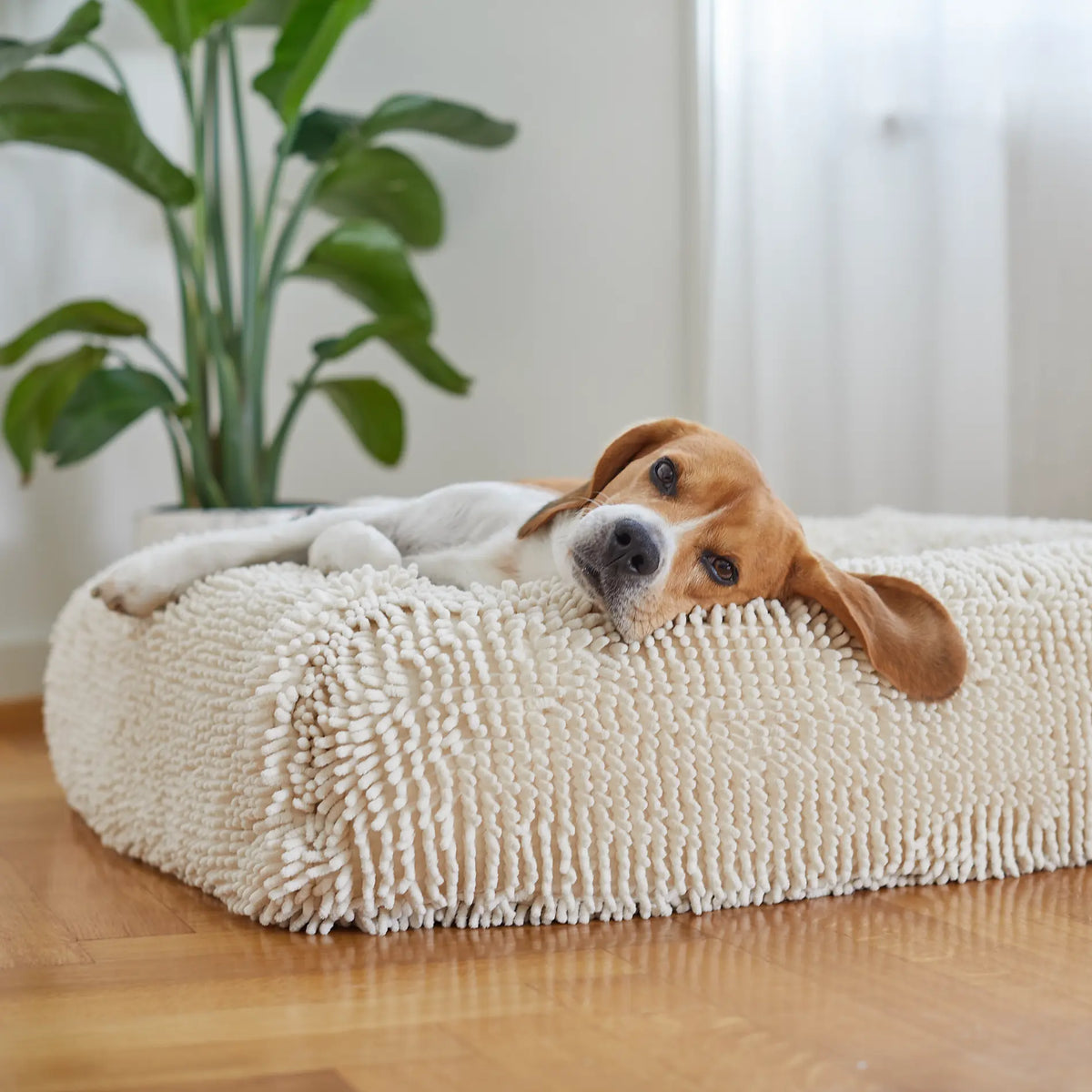 The Towel Dog Bed